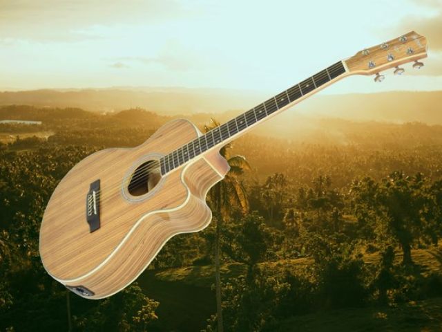 N5Z Native Zebrano electro-acoustic guitar